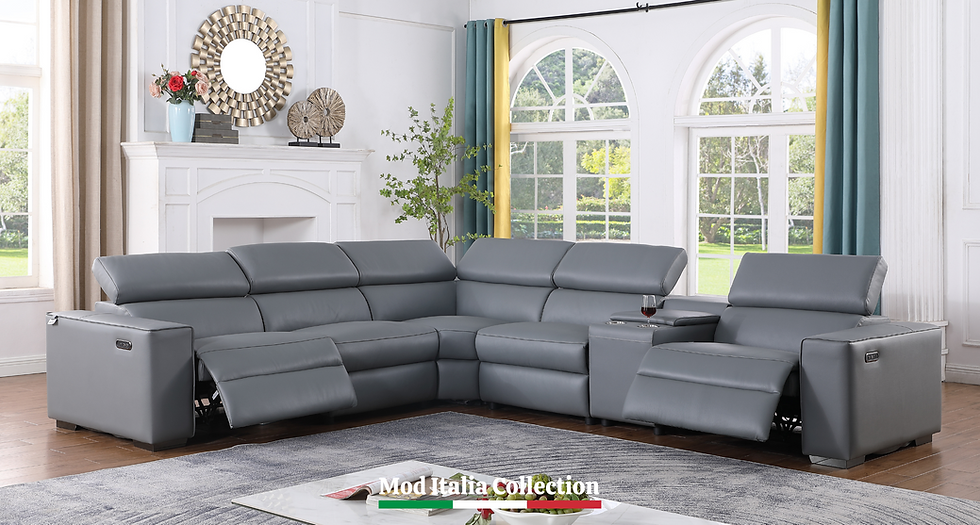 MI-631 Picasso (Grey)! sectional