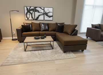 S301 (Chocolate) sectional
